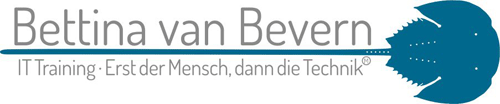 BvB IT Training